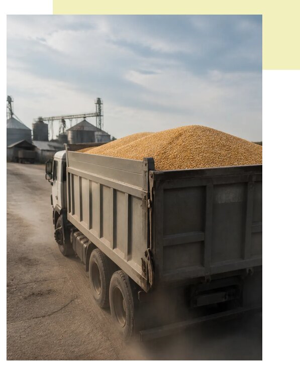 Перевозка сельхозпродукции навалом в Кузнецк по цене от 3127 р. | Агросервис-Кнц