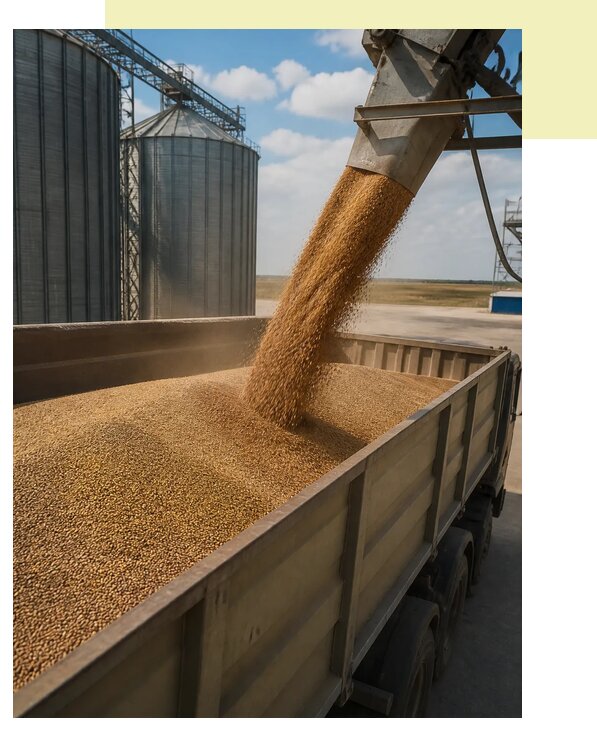 Перевозка зерна навалом в Кузнецк по цене от 2606 р. | Агросервис-Кнц